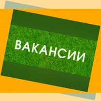 Сборщик авто вахта Выплаты еженедельно Жилье/Еда +Хорошие условия