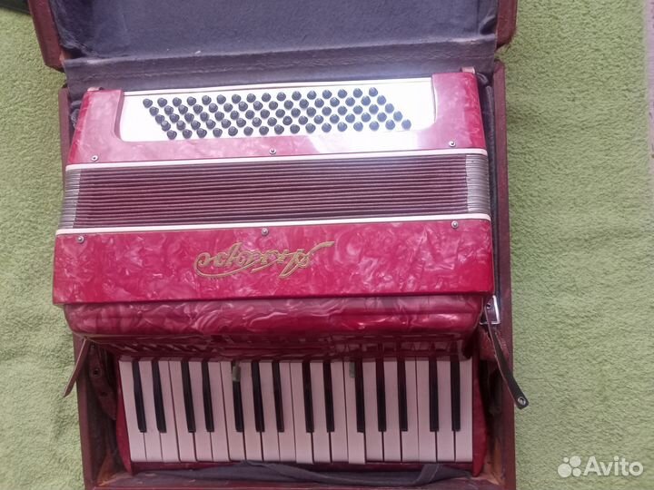 Аккордеон 