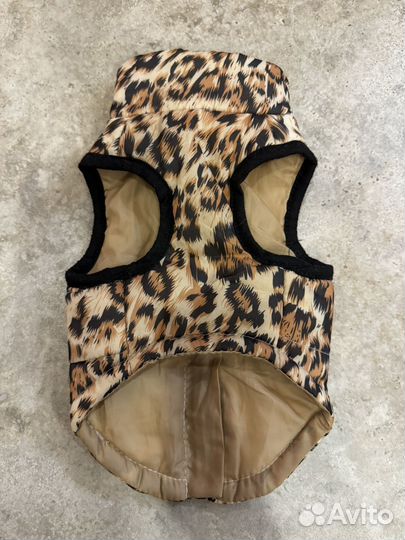 Теплая одежда для собак мелких пород