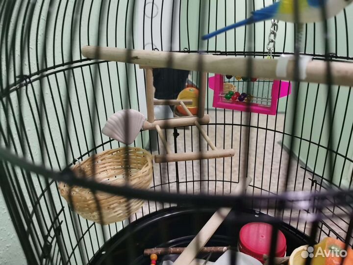 Большая клетка для птиц
