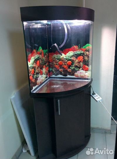 Аквариум 160, свет биофильтр, крышка, тумба