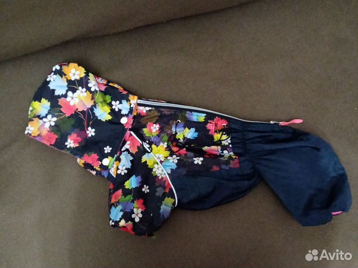 Одежда, обувь, переноска для собак