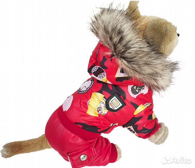 Одежда, обувь и аксессуары для собак