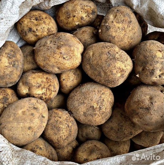 Картофель с доставкой