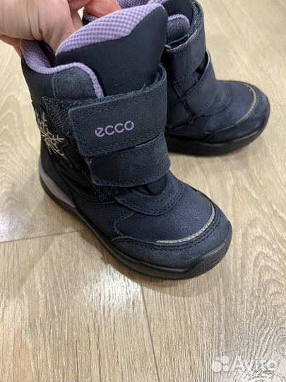 Ботинки сапоги ecco