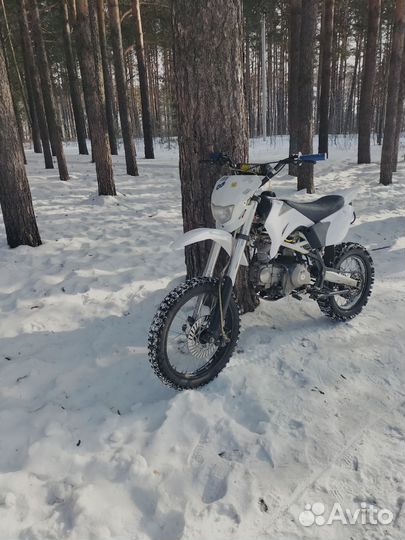 Продам питбайк BSE armada 125