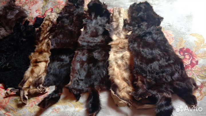 Шкурка животного