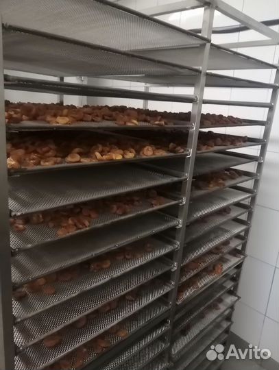 Сушильная камера пищевая