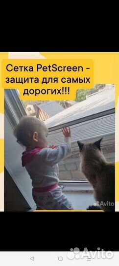 Сетка антикошка