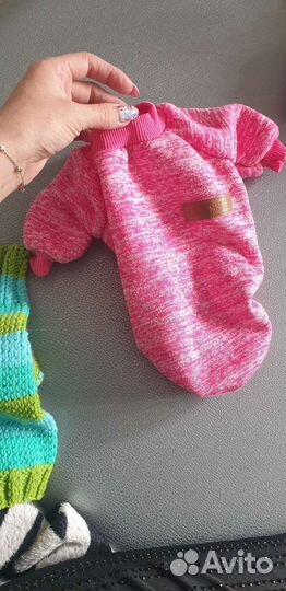 Одежда для собак и кошек