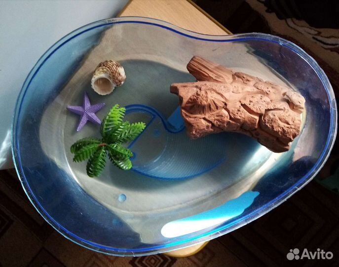 Черепашник