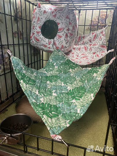 Гамаки для хорьков, крыс, грызунов