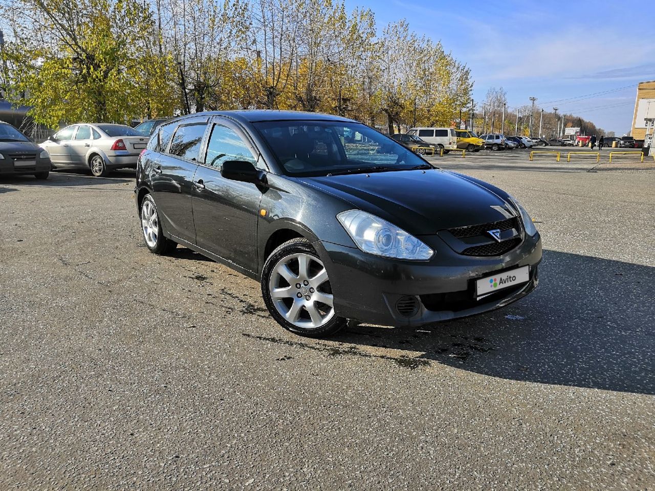 Toyota Caldina: фото владельца