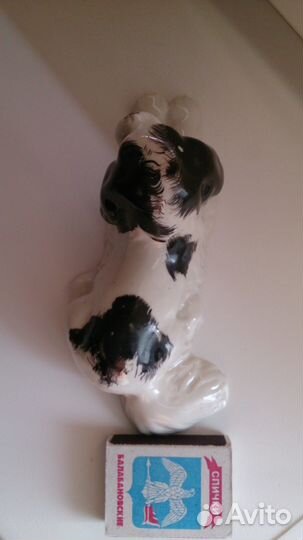 Собака Луначарского лфз