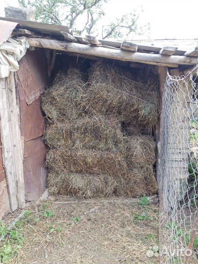Сено в тюках