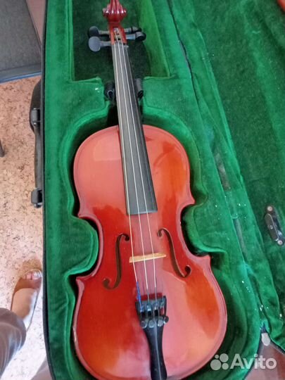 Скрипка 1/4
