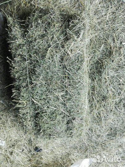 Корма для птиц и животных