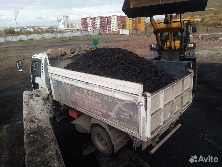 Уголь балахта (сорт, орех, семечка). Доставка