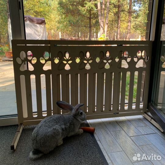 Ограждение для животных