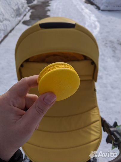 Коляска 2 в 1 Noordi Sole 2019