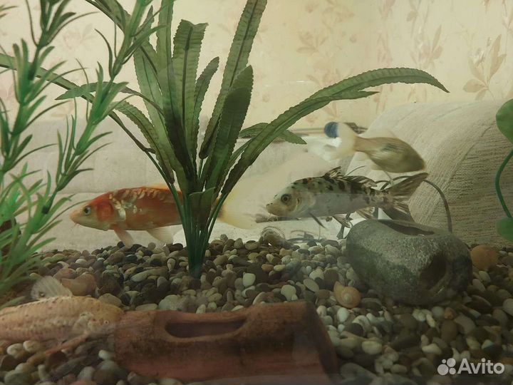 Украшение для аквариума