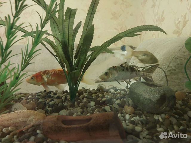 Украшение для аквариума