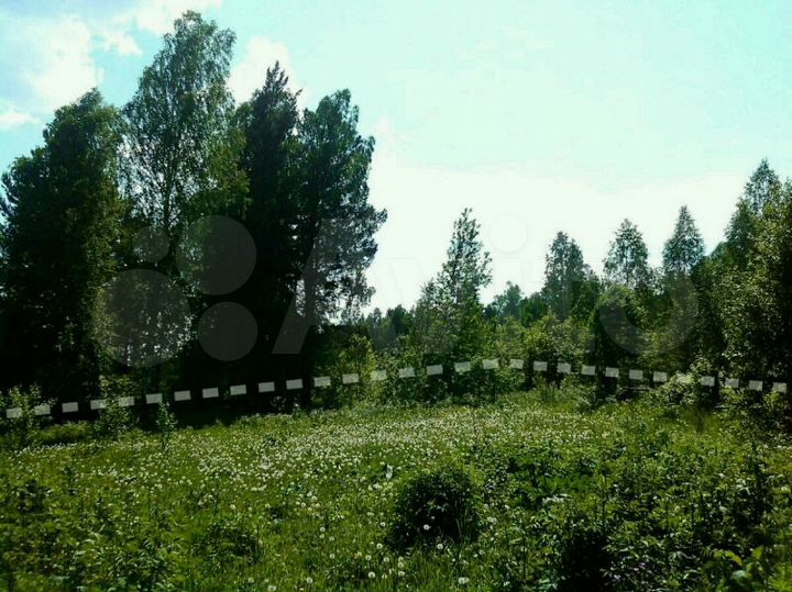 Участок 16 сот. (СНТ, ДНП)