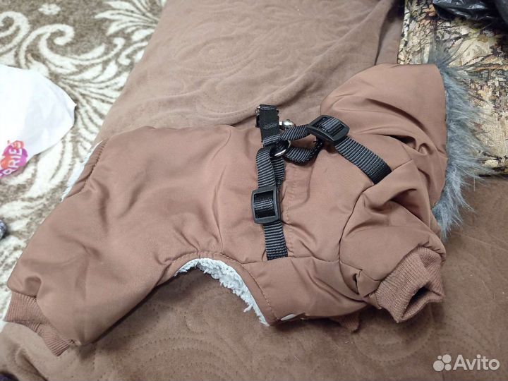 Зипний комбенизон для маленьких собак