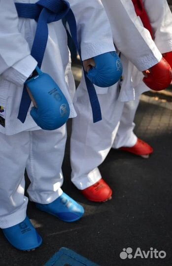 Перчатки для карате WKF Expert