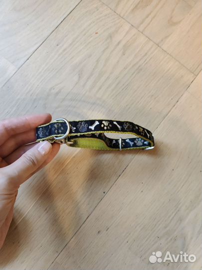 Ошейник для собак и поводок