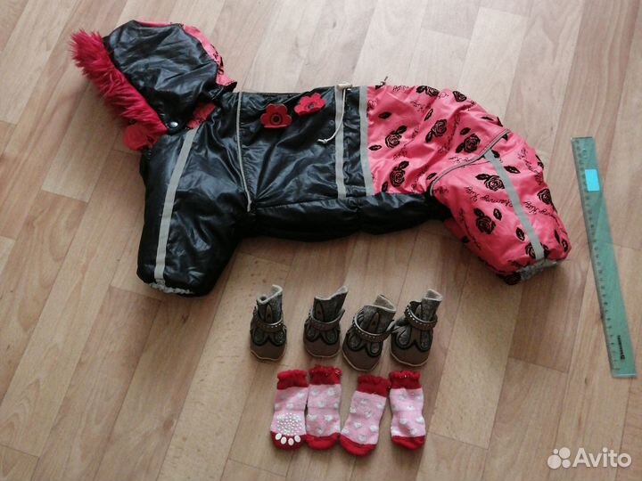 Одежда для маленьких собак