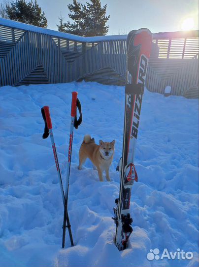 Горные лыжи blizzard 167см