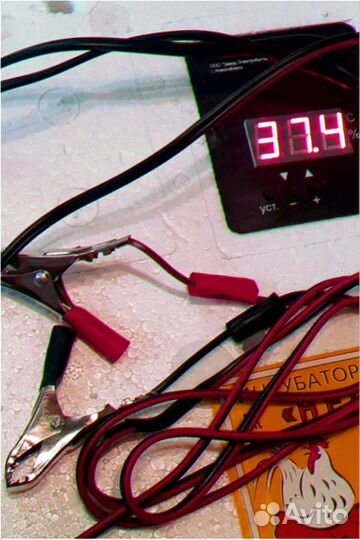 Лучшие инкубаторы