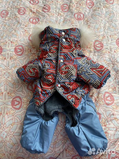 Комбинезон на собаку