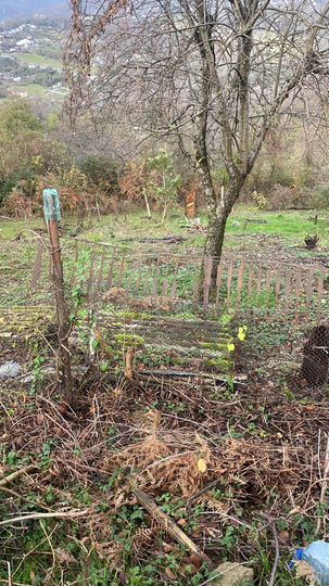 Участок 6,5 сот. (СНТ, ДНП)