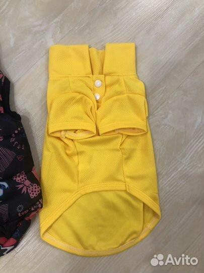 Одежда для маленьких собак