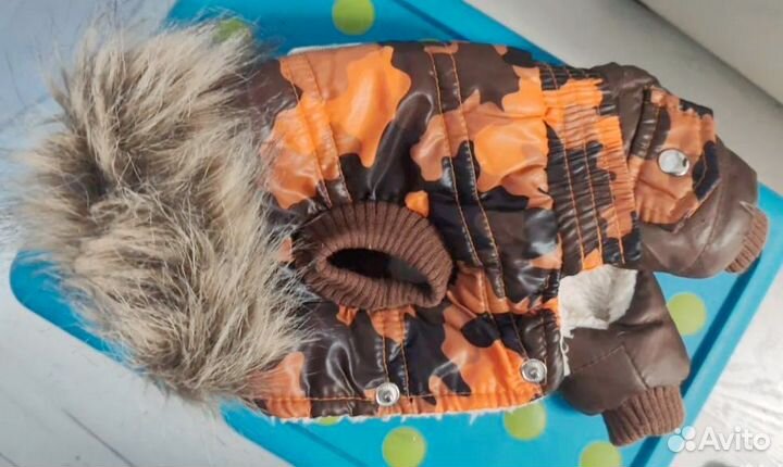 Зимний комбинезон для йорка