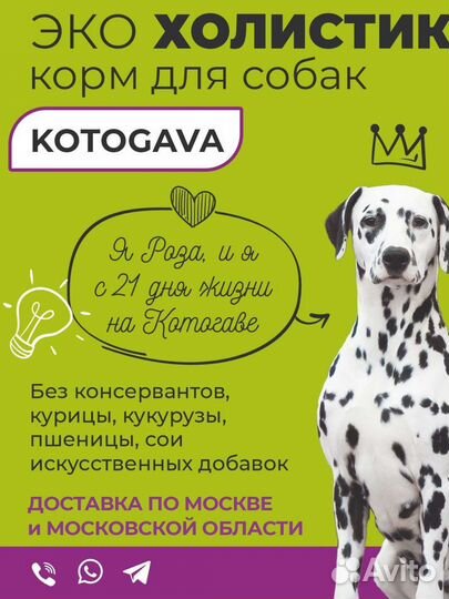 Корм для собак Холистик Фиш