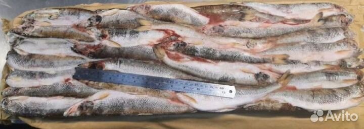 Икра, краб, креветка, рыба, морепродукты оптом