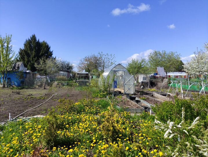 Участок 15 сот. (СНТ, ДНП)