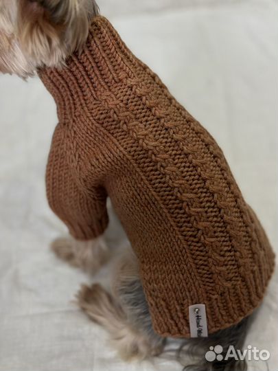 Одежда для собак