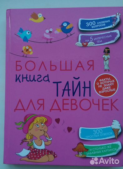 Большая книга тайн для девочек Хомич Е.О
