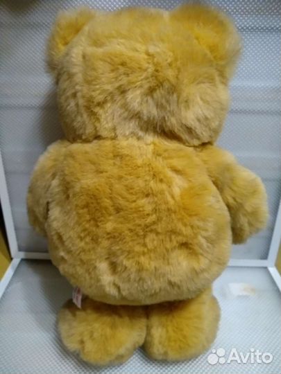 Плюшевые медведь выброс 15 июля