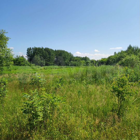 Участок 32,1 сот. (ИЖС)