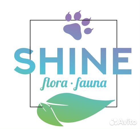 Помощник руководителя