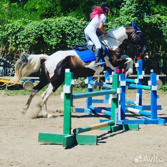 Прогулки, обучение верховой езде, иппотерапия