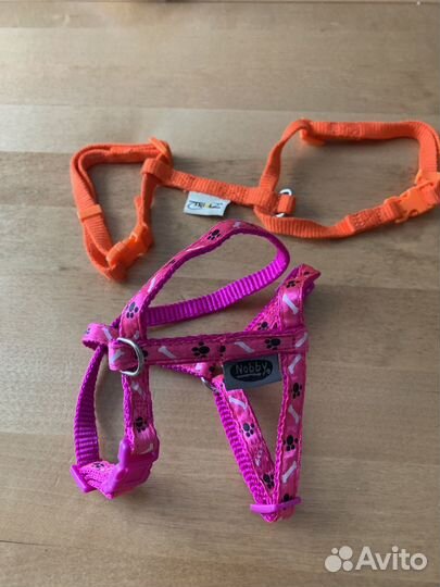 Шлейка для маленькой собаки