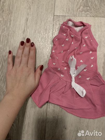 Одежда для маленьких собак