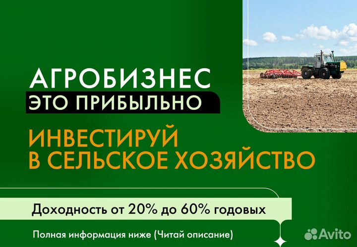 Ищу партнера в агробизнес