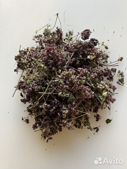 Чабрец (тимьян)